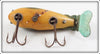 Creek Chub River Peeler Crawdad In Unmarked Box
