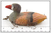Contemporary Folk Art Five Hook Duck Lure