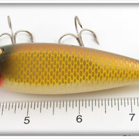 Creek Chub Golden Shiner Injured Minnow 1504