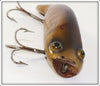 Paw Paw Perch Bullhead 3503