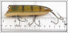 Heddon Pike Scale Saltwater Basser In 8509M Box