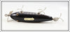 Creek Chub Black Scale Injured Minnow