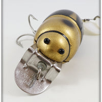 Creek Chub Gold & Black Beetle In Box 3854