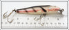 Creek Chub Salmon Finish Saltwater Pikie