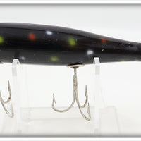 Creek Chub Black With Spots Darter ~