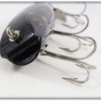 Creek Chub Black With Spots Darter ~
