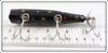Creek Chub Black With Spots Darter ~