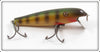 Pflueger Perch Baby Palomine In Blue Border Box 5006