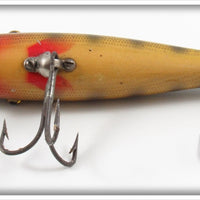 Pflueger Perch Baby Palomine In Blue Border Box 5006
