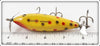 Creek Chub Yellow Spotted Red Ribs Injured Minnow 1514