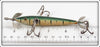 Shakespeare Green Early Three Hook Slim Jim