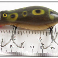 Creek Chub Frog Dive Bomber Kreeker 6619 Special