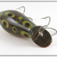 Creek Chub Frog Dive Bomber Kreeker 6619 Special