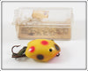Vintage Creek Chub Yellow Spotted Plastic Wee Dee Lure In Box 214