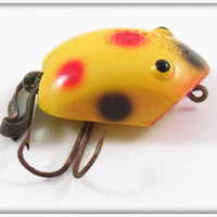 Creek Chub Yellow Spotted Plastic Wee Dee In Box 214
