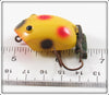 Creek Chub Yellow Spotted Plastic Wee Dee In Box 214