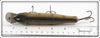 Creek Chub Perch Side Screw Snook Pikie