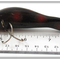 Paw Paw Black With Red Spots Bullhead