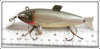 Creek Chub Silver Shiner Fintail Shiner 2103