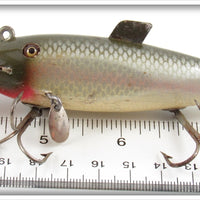 Creek Chub Silver Shiner Fintail Shiner 2103