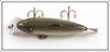 Creek Chub Silver Shiner Fintail Shiner 2103