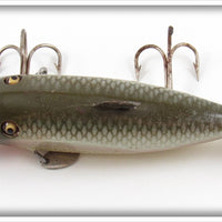 Creek Chub Silver Shiner Fintail Shiner 2103