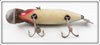 Creek Chub Silver Shiner Fintail Shiner 2103