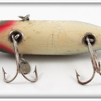 Creek Chub Silver Shiner Fintail Shiner 2103