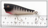 Creek Chub Black Scale Plunker 3233