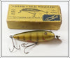 Vintage Creek Chub Perch Intro Wiggler In Correctly Stamped Intro Box