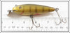 Creek Chub Perch Intro Wiggler In Correctly Stamped Intro Box