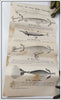 Heddon The Why Of It Wood Box Paper Insert