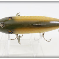 Creek Chub Golden Shiner Fintail Shiner 2104 ~