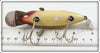 Creek Chub Golden Shiner Fintail Shiner 2104 ~