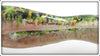 Lucky Grossman Green Frog Decoy
