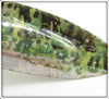 Lucky Grossman Tadpole Becoming A Frog Decoy
