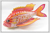 Harley Ragan Beautiful Tropical Fish Decoy