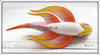 Harley Ragan Beautiful Tropical Fish Decoy