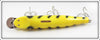 Creek Chub Yellow Shore Giant Pikie 6000 FY Special