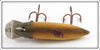 Creek Chub Golden Shiner Fintail Shiner 2104