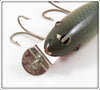Creek Chub Natural Chub Finish Wagtail