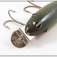Creek Chub Natural Chub Finish Wagtail