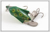 Jamison Frog Wig L Twin