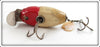 Creek Chub Western Auto Red Head Shiner Midget Beetle