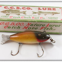 Vintage Creek Chub Golden Shiner Wagtail Lure In Box 804