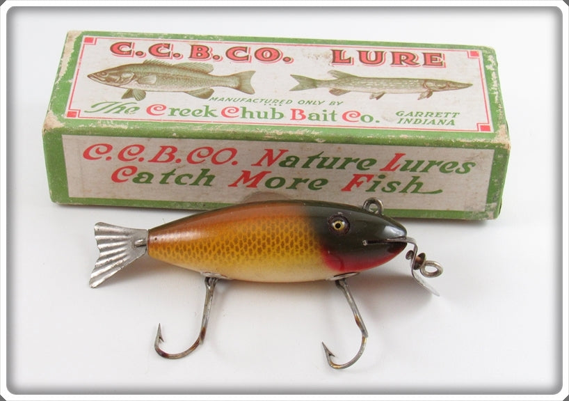 Vintage Creek Chub Golden Shiner Wagtail Lure In Box 804