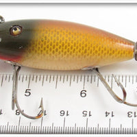 Creek Chub Golden Shiner Deluxe Wagtail In Box 804