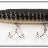 Creek Chub Black Scale Giant Pikie In Box 6033