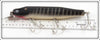 Creek Chub Black Scale Giant Pikie In Box 6033