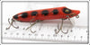 Heddon Orange With Black Spots Vamp 7509V